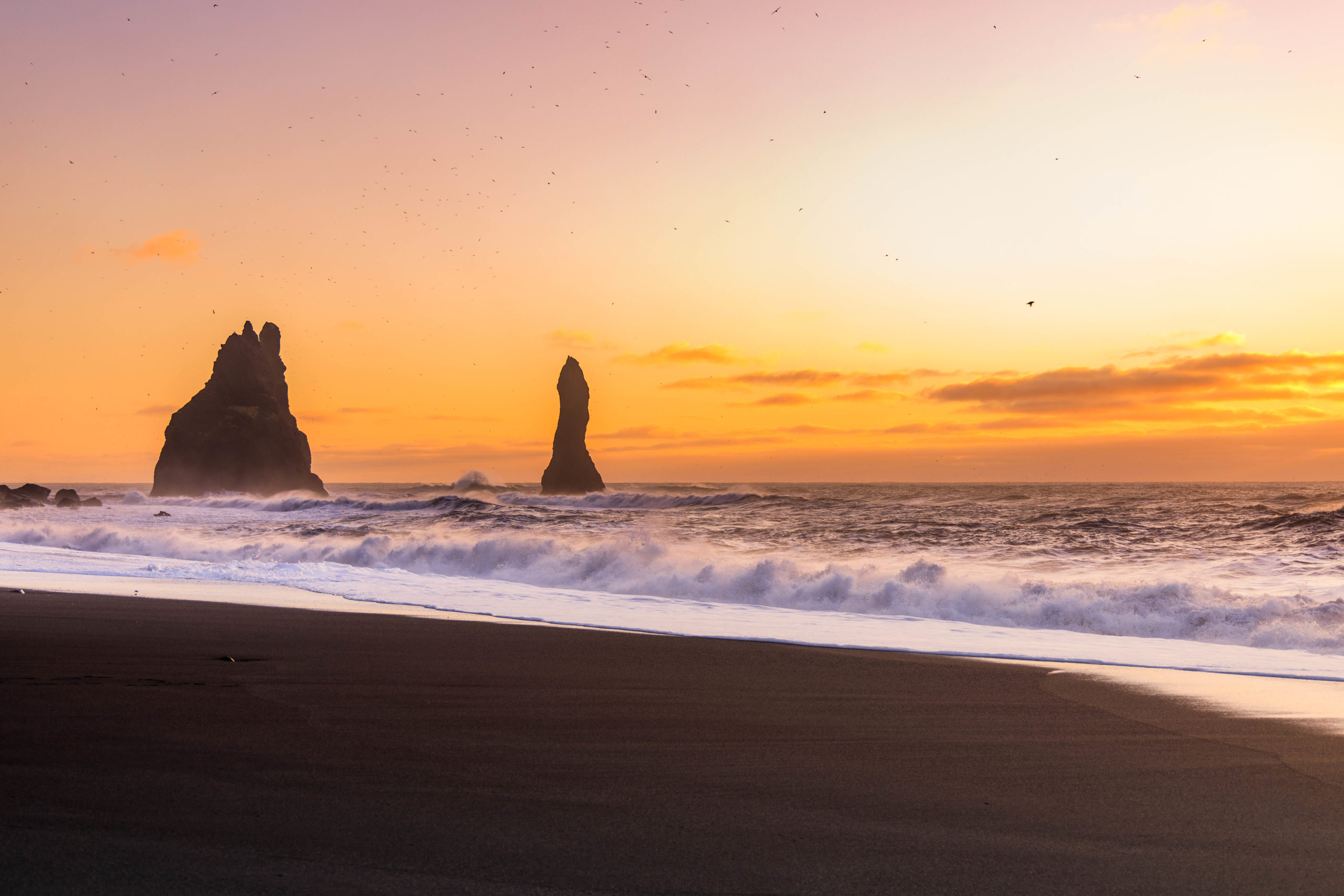 Reynisfjara Iceland