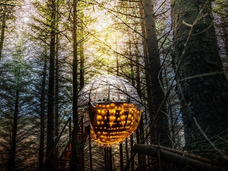 A hanging bubble surrounded by trees in Iceland