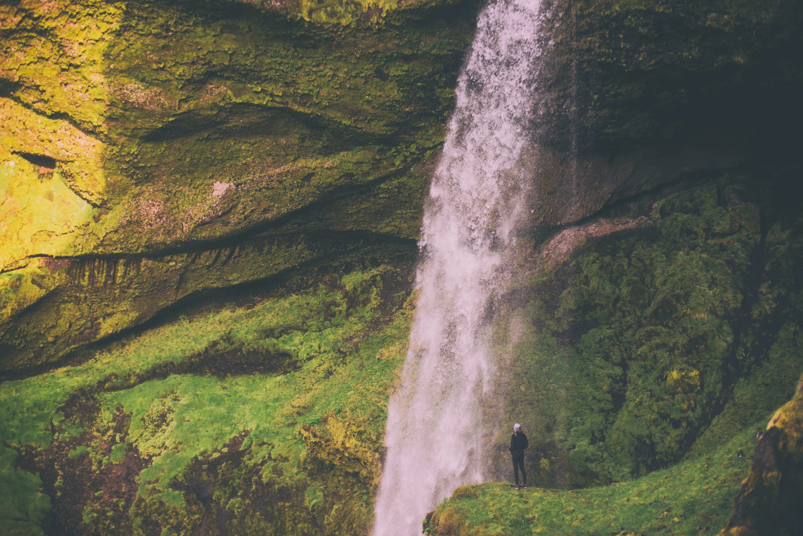 Moss covering a waterfall valley in Iceland.